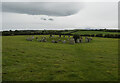 J4840 : Ballynoe Stone Circle by Rossographer