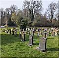 SO3205 : Churchyard headstones and trees, Goetre, Monmouthshire by Jaggery