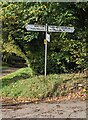 SO3433 : Fingerpost at crossroads, Newton, Herefordshire by Jaggery