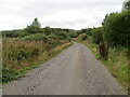 NS5093 : Forest track at the Drymen Road Parking Area by Peter Wood