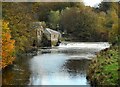 NS5461 : Sawmill, power station and weir by Richard Sutcliffe