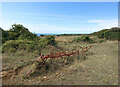 SZ0277 : Old Implement, Durlston Country Park by Des Blenkinsopp