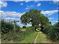 SE4908 : Junction of Lound Lane and Narrow Balk by Graham Hogg