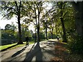 SJ4912 : Cycling along Victoria Avenue by Stephen Craven