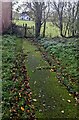 SO3536 : Path towards a churchyard exit, Turnastone, Herefordshire by Jaggery