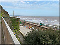 SX9676 : Viewpoint above the station, Dawlish by Robin Stott