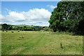 SO2981 : The Shropshire Way north of Clun by Jeff Buck