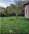 SO3536 : Solitary headstone, Turnastone, Herefordshire by Jaggery