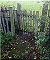 SO3536 : Kissing gate, Turnastone, Herefordshire by Jaggery