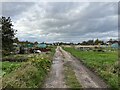 SJ9223 : Coton Fields Allotments by Jonathan Hutchins