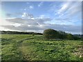 SJ8047 : Plateau, Silverdale Country Park by Jonathan Hutchins