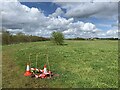 SJ8047 : Major hazard on Silverdale Country Park by Jonathan Hutchins