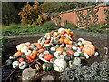 TQ4551 : Pumpkins and squashes at Chartwell by Marathon