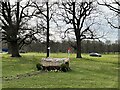 SJ8009 : Cross-country obstacle at Weston Park Horse Trials by Jonathan Hutchins