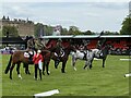 SK2570 : Top five in the Young Event Horse 4yo qualifier by Jonathan Hutchins