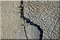 SO9391 : Limestone exposure (detail)  in Wren's Nest Nature Reserve, Dudley by Roger  D Kidd