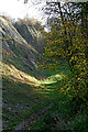 SO9391 : Wren's Nest National Nature Reserve near Dudley by Roger  D Kidd