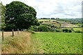 SO2685 : The Shropshire Way near Hergan by Jeff Buck