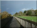 SX9885 : The second boardwalk between Lympstone and Topsham on NCN2 by David Smith