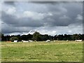 SJ8606 : Cross-country course at Chillington Hall Horse Trials by Jonathan Hutchins