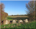 TL2659 : Across the fields to Eltisley by John Sutton