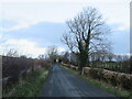 NY0829 : Hotchberry Road, near Cockermouth by Malc McDonald