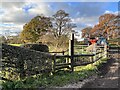 SJ7852 : Footpath and stile off Park Lane by Jonathan Hutchins