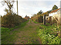 TM1985 : Approaching Pulham Market Station by Adrian S Pye