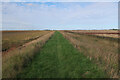 TA3518 : Seawall at Welwick Saltmarsh by Hugh Venables