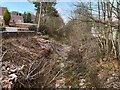 SJ8146 : Route of old railway line, Silverdale by Jonathan Hutchins