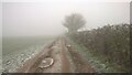 TF1606 : Farm track and footpath between Peakirk and Glinton on a foggy, frosty morning by Paul Bryan