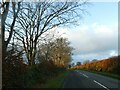 SX4678 : Sunshine on roadside hedges south of Cedar Park Lodge by David Smith