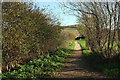 SY4692 : Hardy Way and Monarch's Way, Asker Meadows by Derek Harper