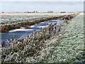 TL2798 : Frozen Delph Dyke - The Nene Washes by Richard Humphrey