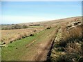 NY2736 : The Cumbria Way near Sworley by Adrian Taylor