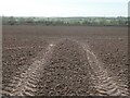 SK7669 : Recently harrowed field, east of Egmanton Crossing by Christine Johnstone