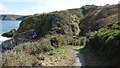 SN2152 : Ceredigion Coastal Path Footbridge by Sandy Gerrard