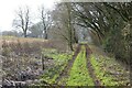  : Footpath and track by Philip Halling