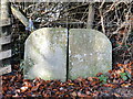 ST5038 : Benchmark on stone stile near Glastonbury Tor by Neil Owen