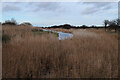 TF6433 : Snettisham Coastal Park by Hugh Venables