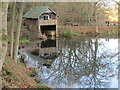 SU9941 : Winkworth Arboretum - Boat House by Colin Smith