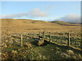 NS8111 : Stile on the Southern Upland Way above Coupland Knowe by Alan O'Dowd