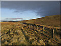 NS8212 : Southern Upland Way on the col south-east of Conrig Hill by Alan O'Dowd