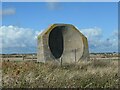 TA4116 : Kilnsea sound mirror, with lichen by Christine Johnstone