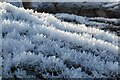 SO9639 : Frost on a tree trunk by Philip Halling