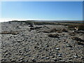 TA4214 : The narrowest part of Spurn Point by Christine Johnstone