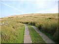 NY3037 : The Cumbria Way near Fell Side by Adrian Taylor