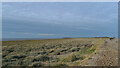 TA4114 : The Humber seen from Kilnsea Warren, Spurn by habiloid