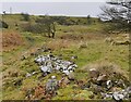 SO5986 : Rocks on the slopes of Brown Clee Hill by Mat Fascione