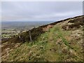 SO5986 : Track on the slopes of Brown Clee Hill by Mat Fascione